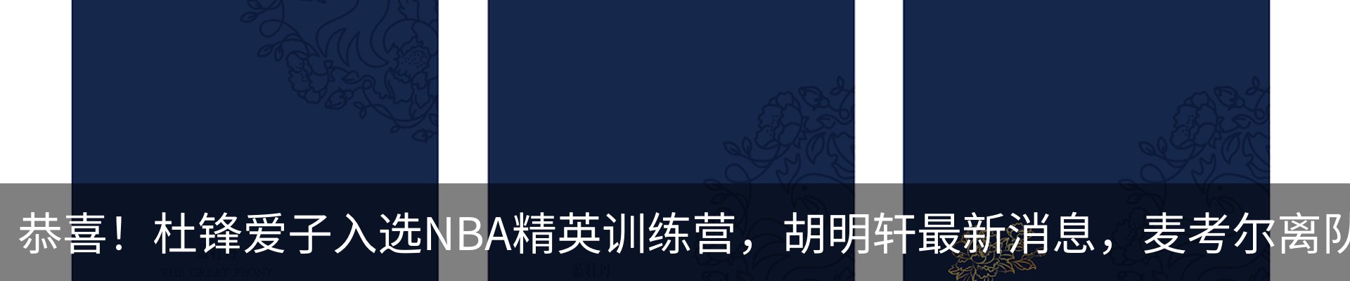 内页banner