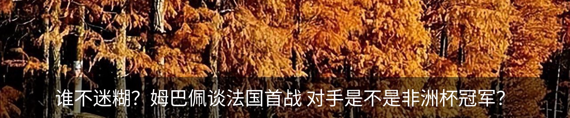 内页banner