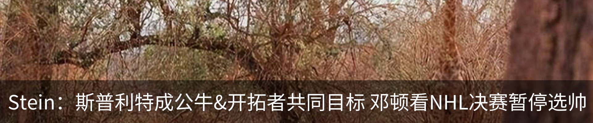 内页banner
